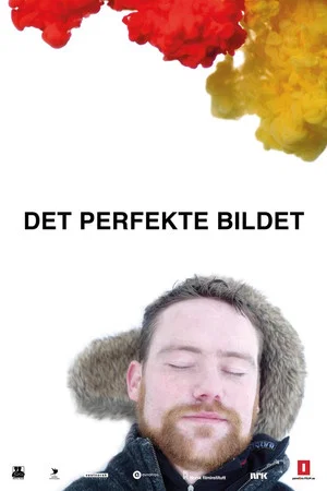 Постер: Det perfekte bildet