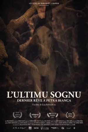 Постер: L'Ultimu Sognu – Last Dream in Petra Bianca