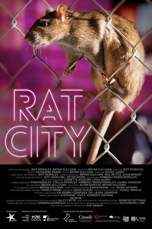 Постер: Rat City