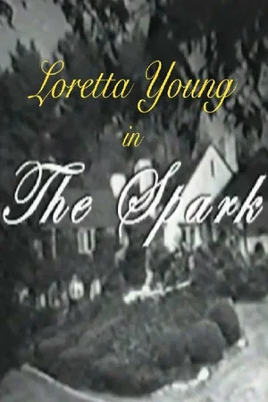 Постер: The Spark