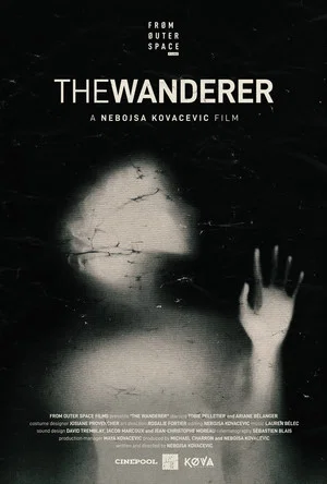 Постер: The Wanderer