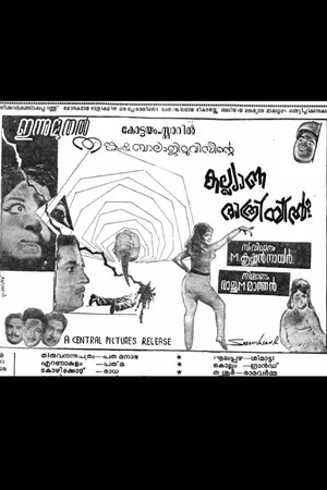 Постер: കല്യാണ രാത്രിയിൽ?