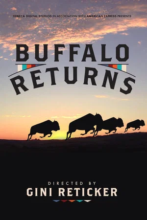 Постер: Buffalo Returns