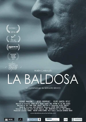 Постер: La baldosa