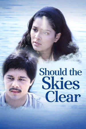 Постер: Should the Skies Clear