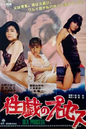 Постер: The Process of Sexual Play