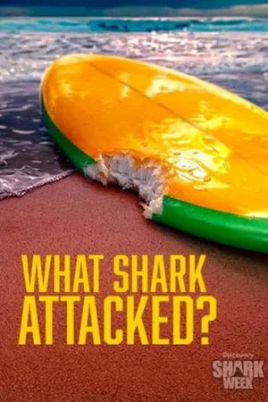 Постер: What Shark Attacked?