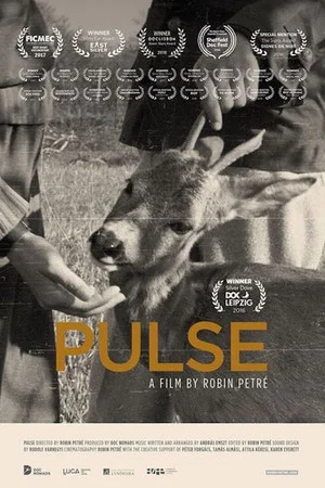 Постер: Pulse