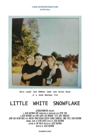 Постер: Little White Snowflake