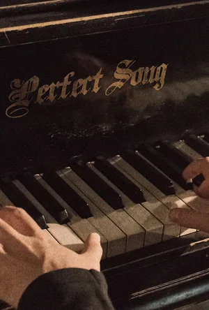 Постер: Perfect Song