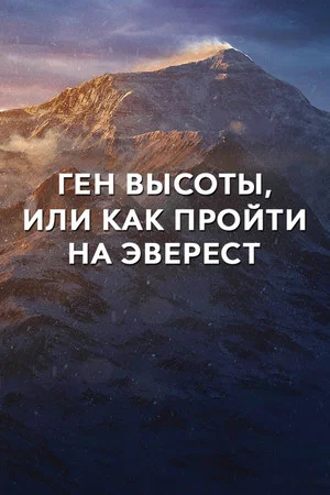 Постер: Ген высоты, или как пройти на Эверест