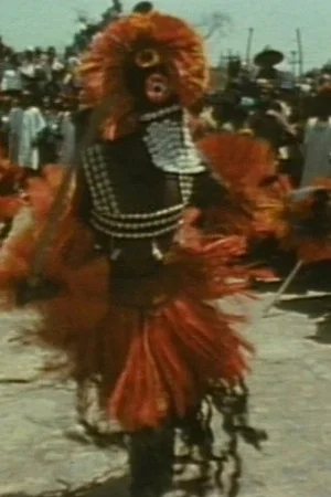 Постер: Tracking the Pale Fox: Studies on the Dogon