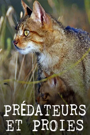 Постер: Prédateurs et proies - La faune de la péninsule Ibérique