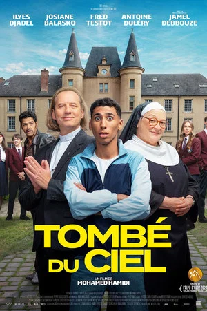 Постер: Tombé du ciel