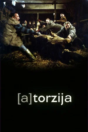 Постер: (A)Torsion