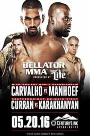 Постер: Bellator 155: Carvalho vs. Manhoef