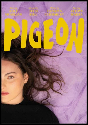 Постер: pigeon