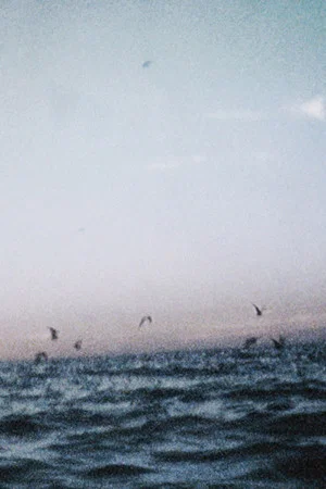 Постер: Ocean III