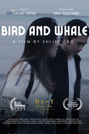 Постер: Bird and Whale