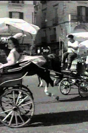 Постер: Amalfi Way
