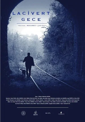 Постер: Dark Blue Night