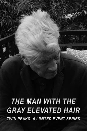 Постер: The Man with the Gray Elevated Hair