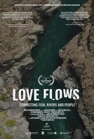 Постер: Love Flows