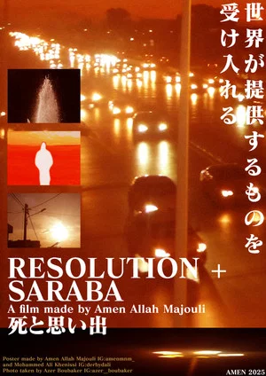 Постер: RESOLUTION + SARABA