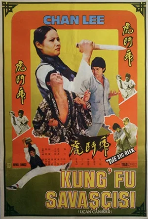 Постер: Kung Fu Conspiracy