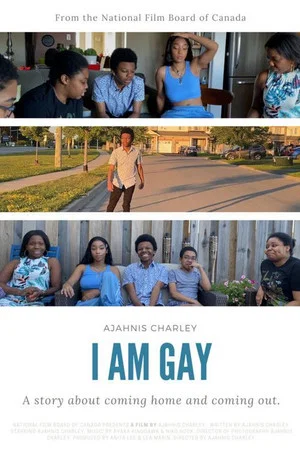 Постер: I Am Gay