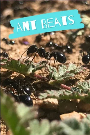 Постер: Ant Beats