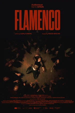 Постер: Flamenco