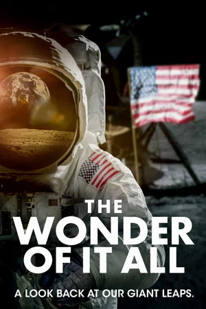 Постер: The Wonder of It All