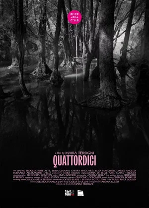Постер: Quattordici