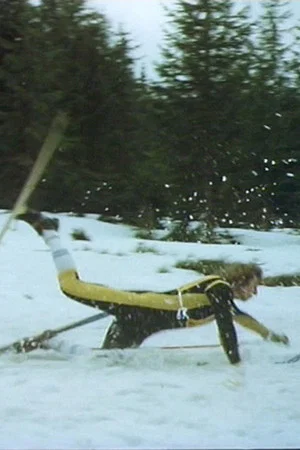 Постер: Nordic Combination