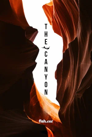 Постер: The Canyon
