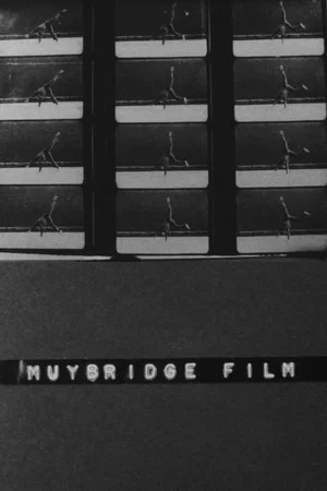 Постер: Muybridge Film