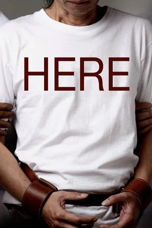 Постер: Here