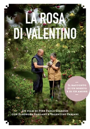 Постер: La rosa di Valentino