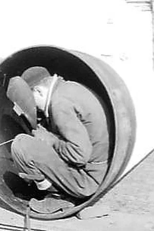 Постер: The Dike Builders