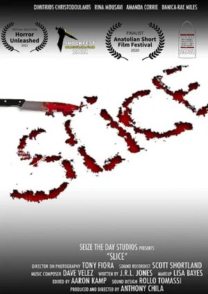 Постер: Slice