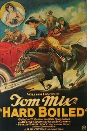 Постер: Hard Boiled
