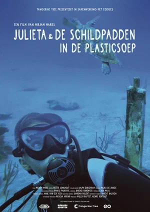 Постер: Julieta & the Turtles in the Plastic Soup