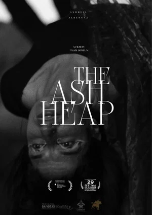 Постер: The Ash Heap