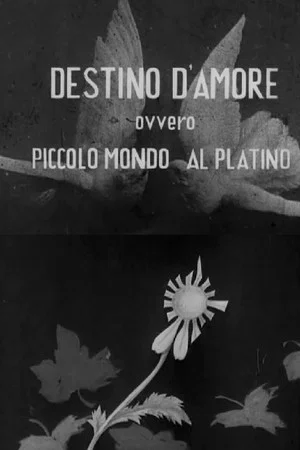 Постер: Destino d'amore, ovvero, piccolo mundo al platino