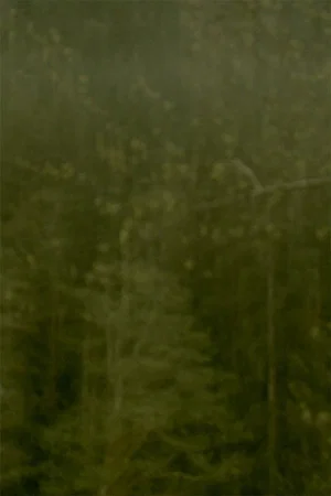 Постер: Dreams of Gold