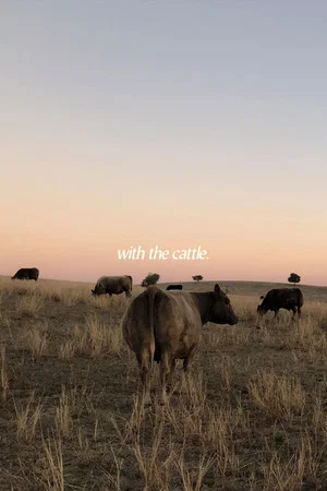 Постер: With the Cattle