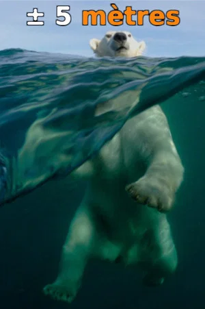 Постер: ± 5 Meters From the Surface of the Oceans
