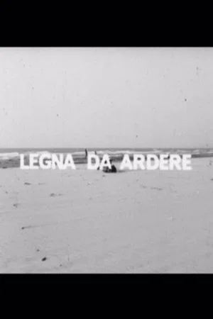 Постер: Legna da ardere