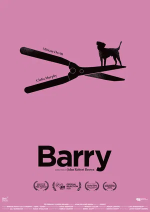 Постер: Barry